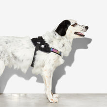 Load image into Gallery viewer, ZEE.DOG - GOTHAM FLY HARNESS
