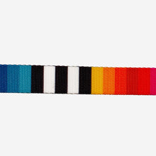 Load image into Gallery viewer, ZEE.DOG - PRISMA COLLAR