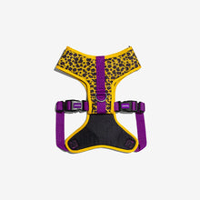 Load image into Gallery viewer, ZEE.DOG - HONEY ADJUSTABLE AIR MESH HARNESS