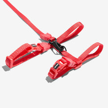 Load image into Gallery viewer, ZEE.CAT - NEON CORAL HARNESS WITH LEASH