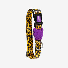 Load image into Gallery viewer, ZEE.DOG - HONEY COLLAR