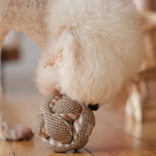 Load image into Gallery viewer, LAMBWOLF COLLECTIVE - MINI MONTI
