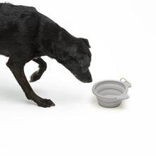 Load image into Gallery viewer, UNITED PETS - FOLDABLE TRAVEL BOWL
