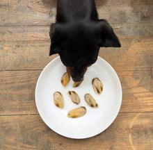 Load image into Gallery viewer, CANUMI - GREEN-LIPPED MUSSEL

