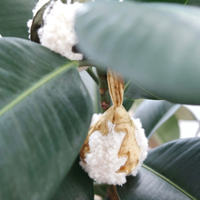 Load image into Gallery viewer, LAMBWOLF COLLECTIVE - XMAS BULBS
