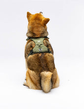 Load image into Gallery viewer, UNITED PETS - PADDED SOFT HARNESS - GREEN
