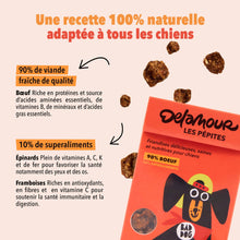 Load image into Gallery viewer, DELAMOUR - LES PÉTITES ON THE GO - AIR DRIED BEEF TREATS
