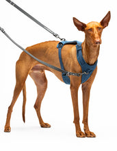 Load image into Gallery viewer, UNITED PETS - PADDED SOFT HARNESS - DENIM
