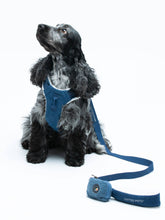 Load image into Gallery viewer, UNITED PETS - LEASH WITH PADDED HANDLE - DENIM
