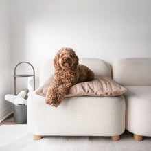 Load image into Gallery viewer, LAMBWOLF COLLECTIVE - MAATIN - BED - PLUM
