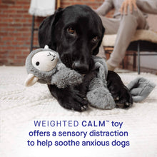 Load image into Gallery viewer, CANADA POOCH - WEIGHTED CALMING TOY
