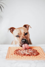Load image into Gallery viewer, MR. BONES - TOPPER ANCHOVIES
