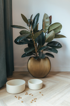 Load image into Gallery viewer, AVA BOWLS - CERAMIC BOWL FENNEC - MEDIUM
