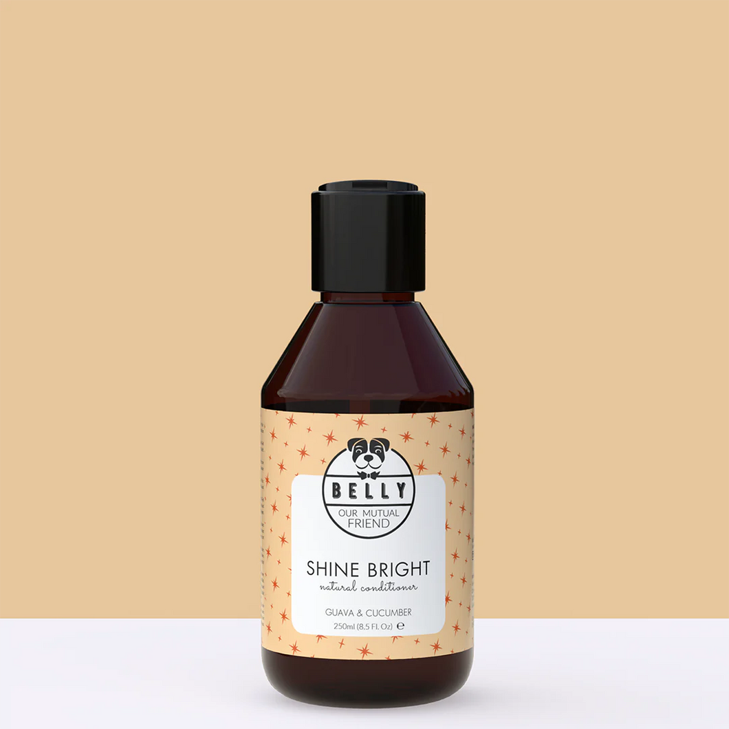 BELLY - SHINE CONDITIONER