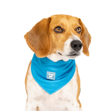 Load image into Gallery viewer, CANADA POOCH - CHILL SEEKER COOLING BANDANA BLUE
