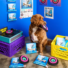 Load image into Gallery viewer, THE FURRYFOLKS - VINYL
