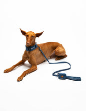 Load image into Gallery viewer, UNITED PETS - SOFT PADDED LEASH - DENIM
