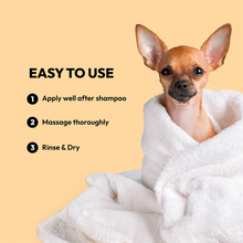 Load image into Gallery viewer, BELLY - SHINE CONDITIONER
