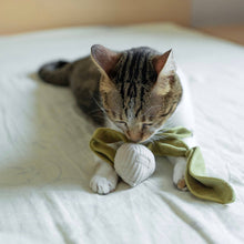 Load image into Gallery viewer, LAMBWOLF COLLECTIVE - KITTY RADISH

