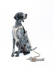 Load image into Gallery viewer, UNITED PETS - NYLON TRAINING LEASH - BEIGE
