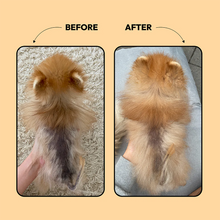 Load image into Gallery viewer, BELLY - SHINE CONDITIONER
