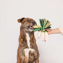 Load image into Gallery viewer, THE FURRYFOLKS - GREEN ONION
