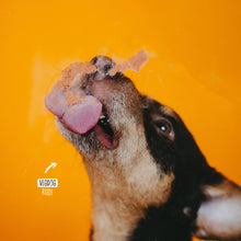 Load image into Gallery viewer, VEGDOG - LEVERVURST
