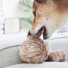 Load image into Gallery viewer, LAMBWOLF COLLECTIVE - SQUIRREL POP
