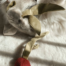 Load image into Gallery viewer, LAMBWOLF COLLECTIVE - KITTY RADISH
