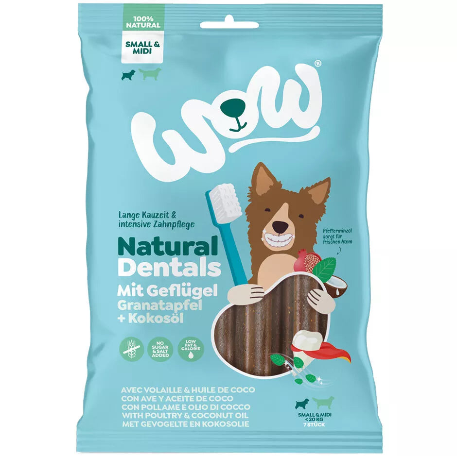 WOW - DENTAL STICKS
