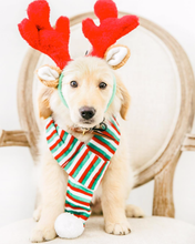 Load image into Gallery viewer, ZIPPYPAW - ANTLERS
