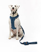 Load image into Gallery viewer, UNITED PETS - PADDED SOFT HARNESS - DENIM
