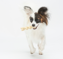 Load image into Gallery viewer, UNITED PETS - AL DENTE

