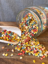 Load image into Gallery viewer, COOKA&#39;S COOKIES - RAINBOW DOGFETTI
