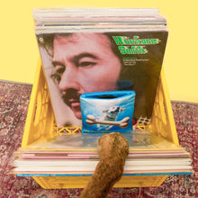 Load image into Gallery viewer, THE FURRYFOLKS - VINYL
