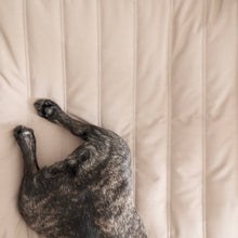 Load image into Gallery viewer, LAMBWOLF COLLECTIVE - MAATIN - BED - PLUM
