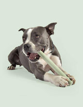 Load image into Gallery viewer, UNITED PETS - MR. BRANCH
