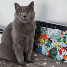 Load image into Gallery viewer, WOW - ADVENT CALENDAR
