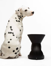 Load image into Gallery viewer, UNITED PETS - ELIZABETH - THE QUEEN OF BOWL
