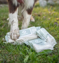 Load image into Gallery viewer, LOMI - BAMBOO GROOMING WIPES -  PREMIUM SIZE
