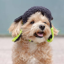 Load image into Gallery viewer, CANADA POOCH - COOL FACTOR AVIATOR HAT
