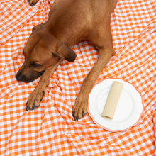 Load image into Gallery viewer, UNITED PETS - AL DENTE

