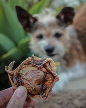 Load image into Gallery viewer, WILD N FRESH TREATS - DEHYDRATED WILD BABY OCTOPUS
