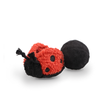 Load image into Gallery viewer, LAMBWOLF COLLECTIVE - LADYBUG POP
