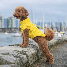 Load image into Gallery viewer, CANADA POOCH - HARNESS RAINCOAT YELLOW
