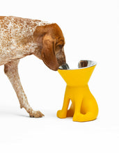 Load image into Gallery viewer, UNITED PETS - ELIZABETH - THE QUEEN OF BOWL
