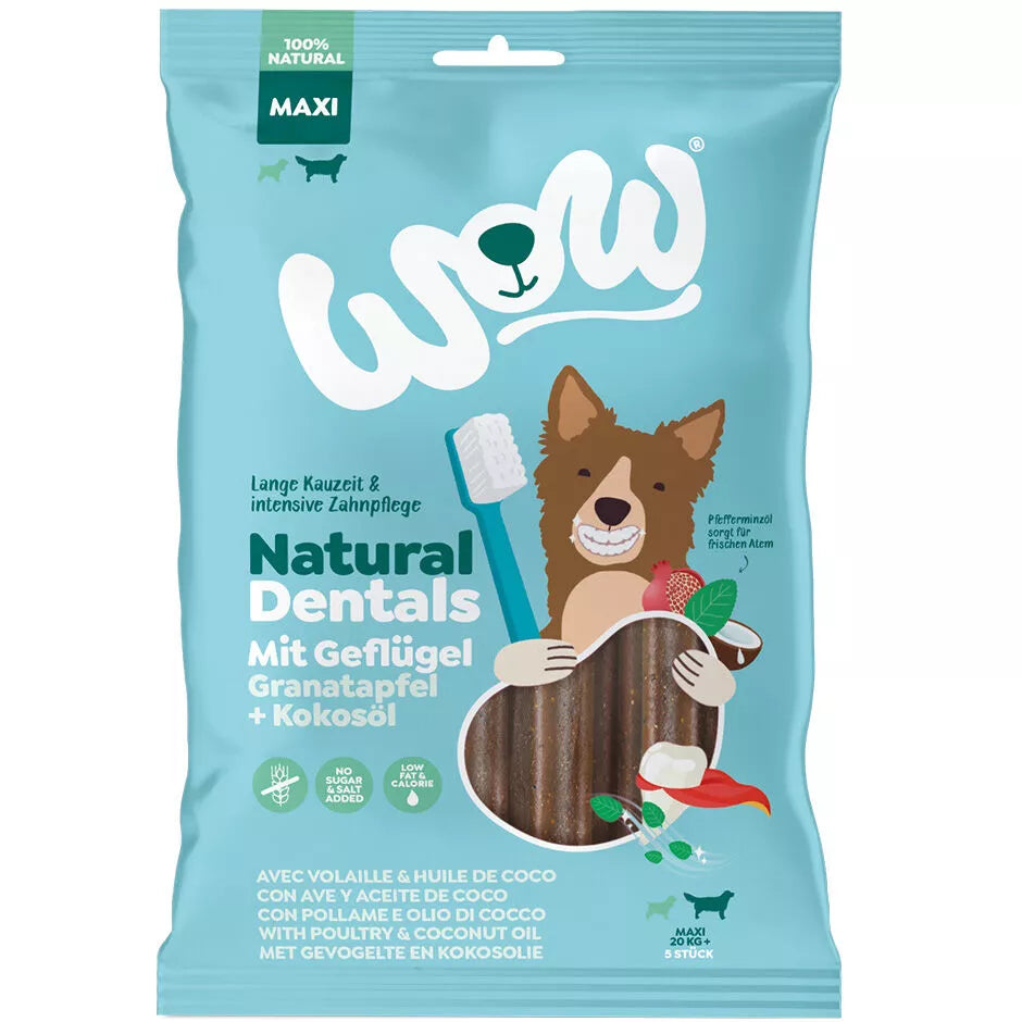 WOW - DENTAL STICKS