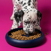 Load image into Gallery viewer, JAMPY - BLUE BOWL
