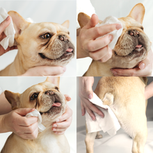 Load image into Gallery viewer, LOMI - BAMBOO GROOMING WIPES - TRAVEL SIZE
