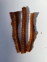 Load image into Gallery viewer, CANUMI - TWIN TREATS - SALMON SPINE
